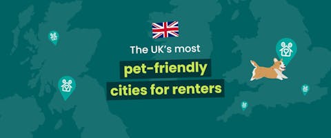 Pets and renting banner image