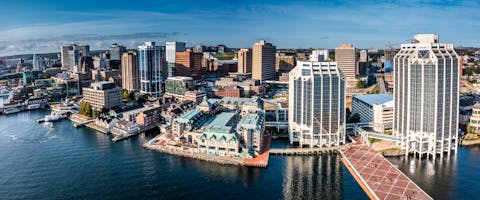 Dog-friendly Halifax.