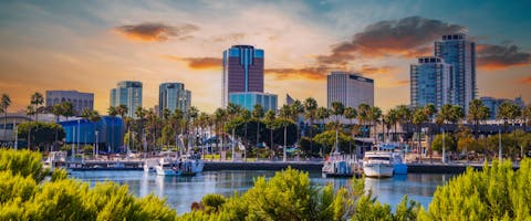 Dog friendly Long Beach.