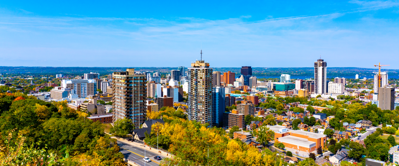 Dog friendly Hamilton