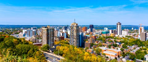 Dog friendly Hamilton