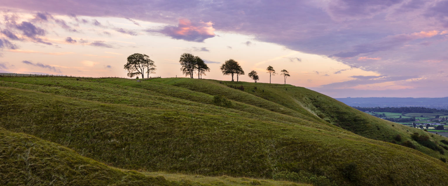 Dog Friendly Devizes: Things To Do in Devizes With a Dog ...