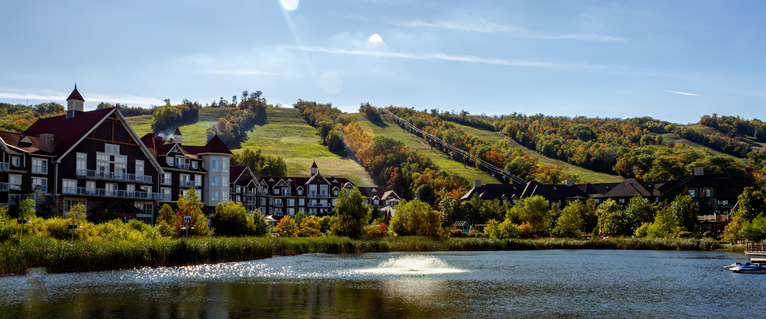 Dog-friendly Collingwood