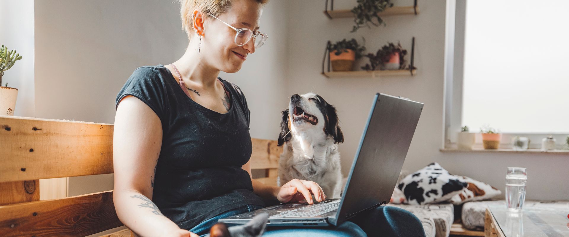 A person sat on a wooden sofa with a laptop and a black and white dog