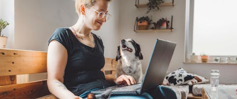 A person sat on a wooden sofa with a laptop and a black and white dog