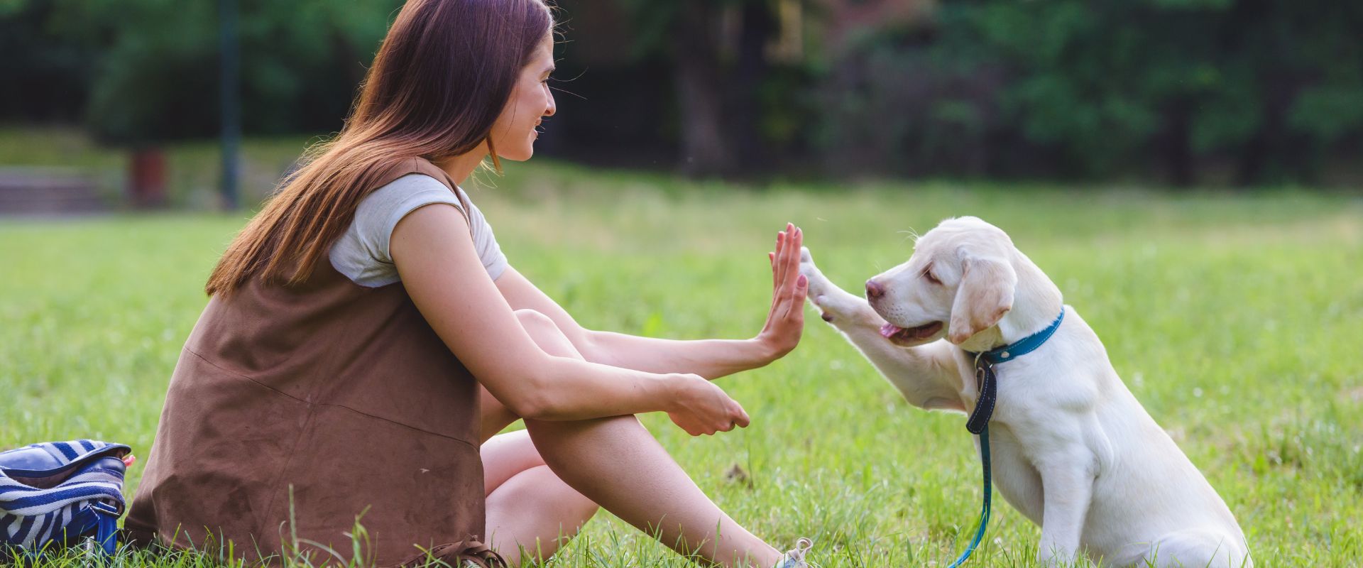 Puppy training with owner in a park