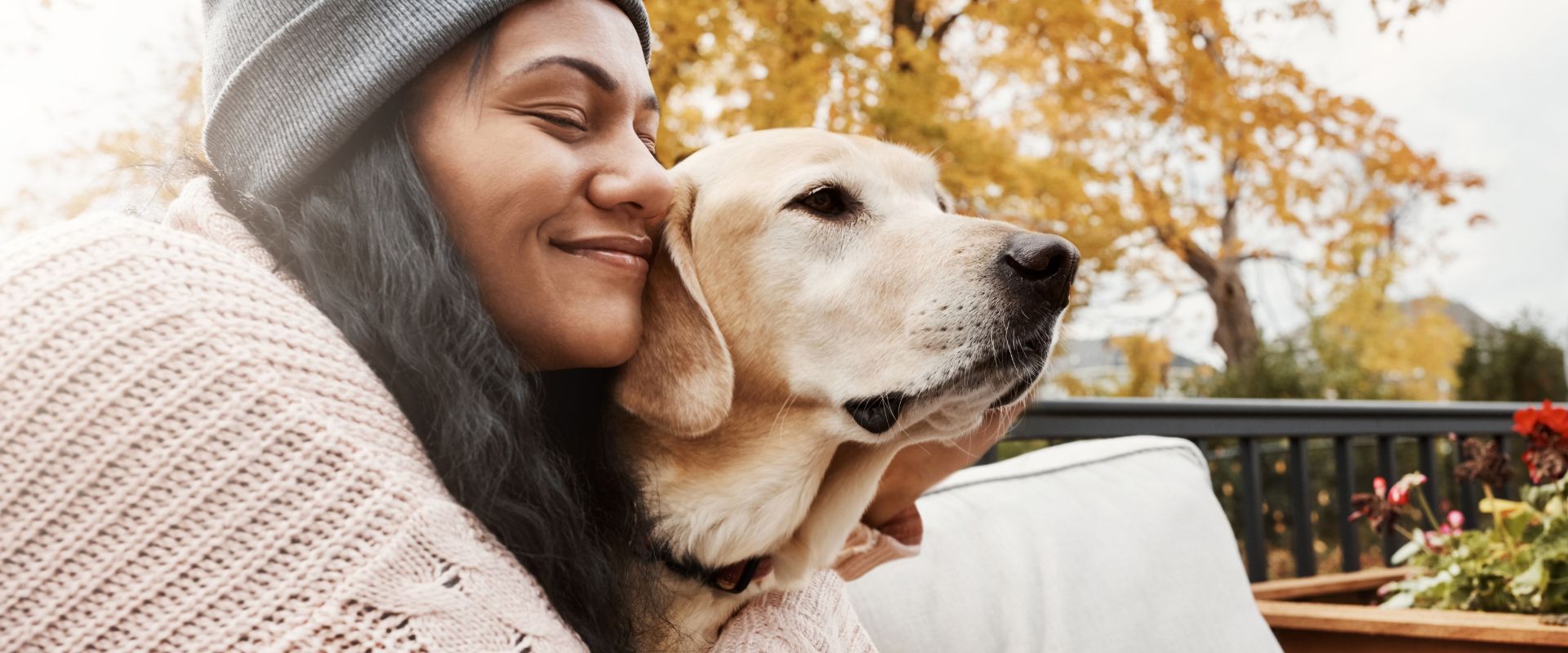 How Do You Housebreak a Rescue Dog: Proven Tips for Success