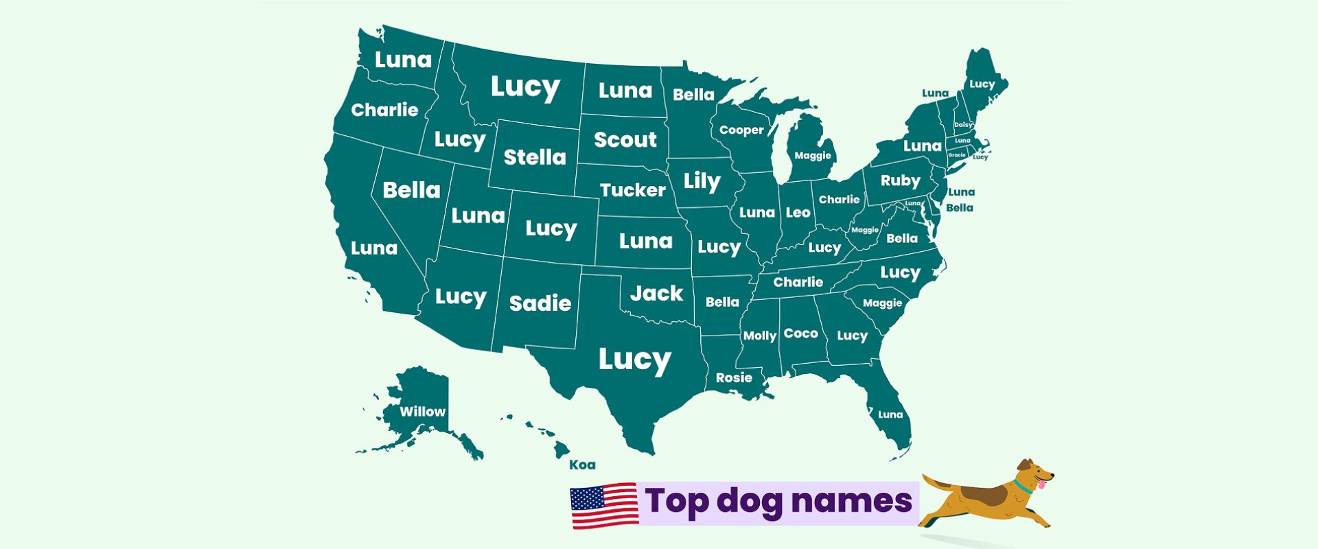 Popular Names for Pets | 2025 Pet Name Study | TrustedHousesitters.com