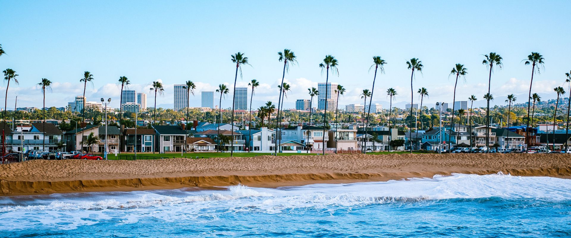 Sandy beach and the coastline with palm trees in Newport Beach in California on a sunny day