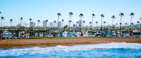 Sandy beach and the coastline with palm trees in Newport Beach in California on a sunny day