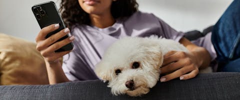Person holding her Bichon Frise dog and a cell phone