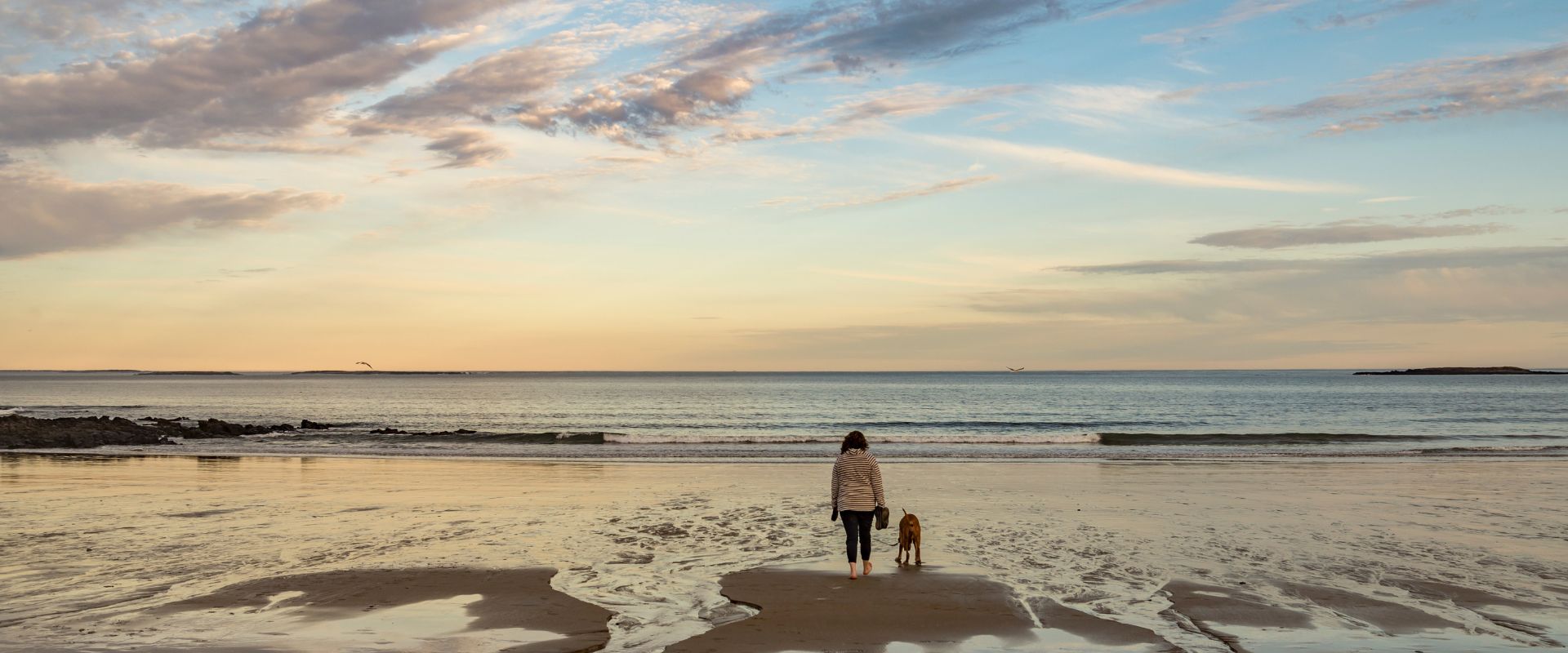 Dog and owner on a dog-friendly beach in Maine