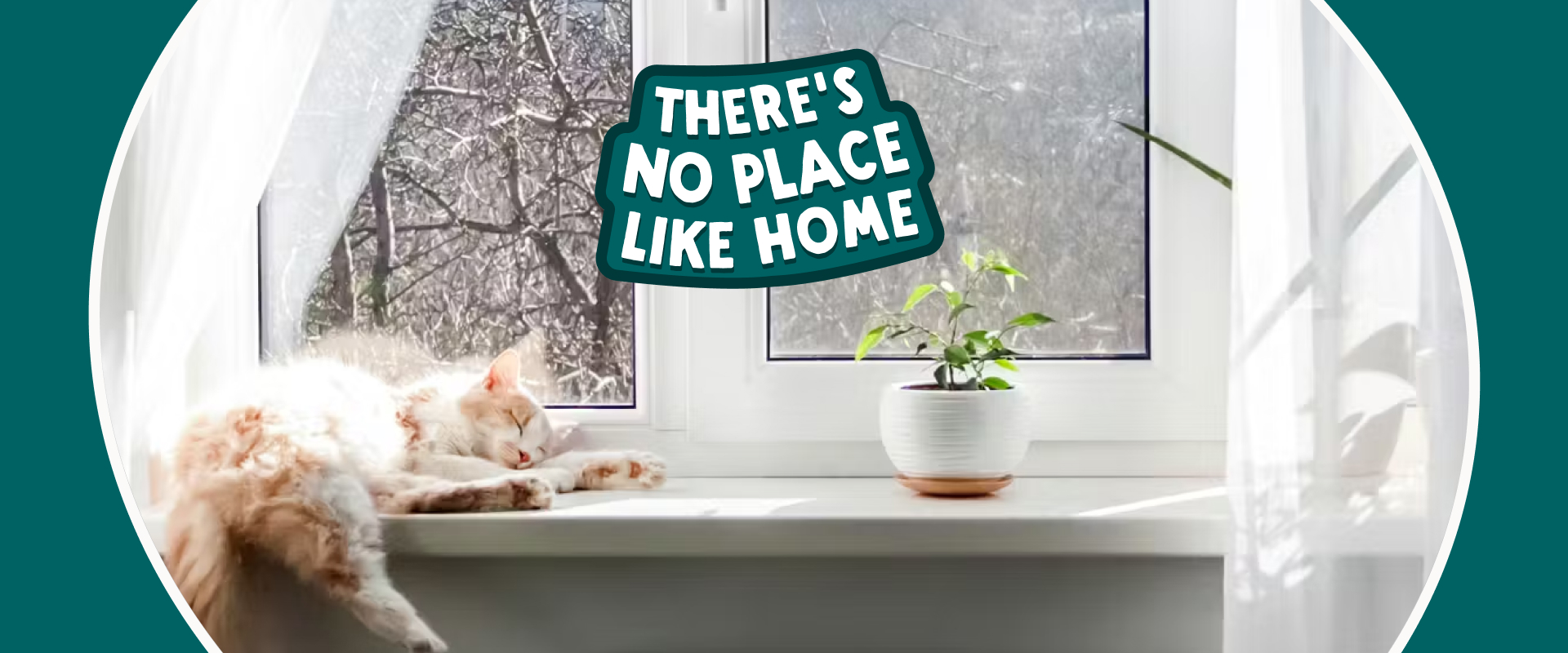 A ginger and white cat sleeping on a windowsill