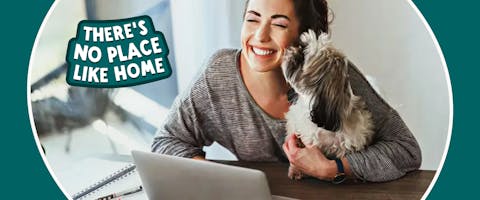 A person working from a laptop with a dog