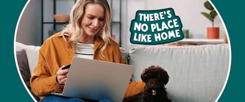 Person working from home with a dog on the couch