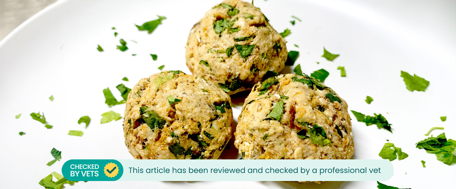 simple healthy dog treat recipes