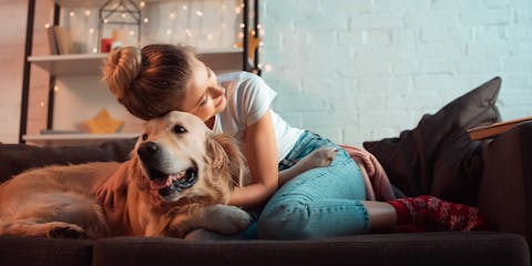 Dog and owner in a Christmas setting