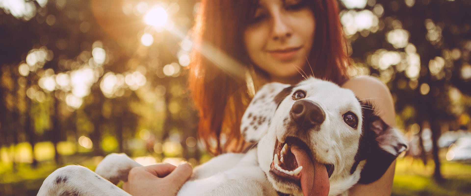 How to show your dog you love them: a woman holding a happy dog in her arms