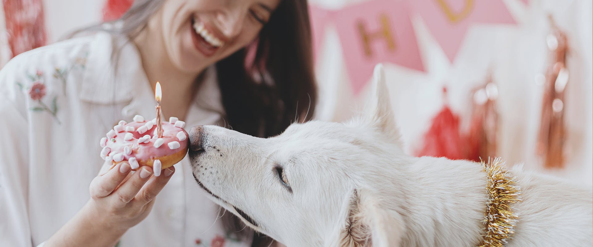 A woman feeding a dog a pink dog treat with a candle in it