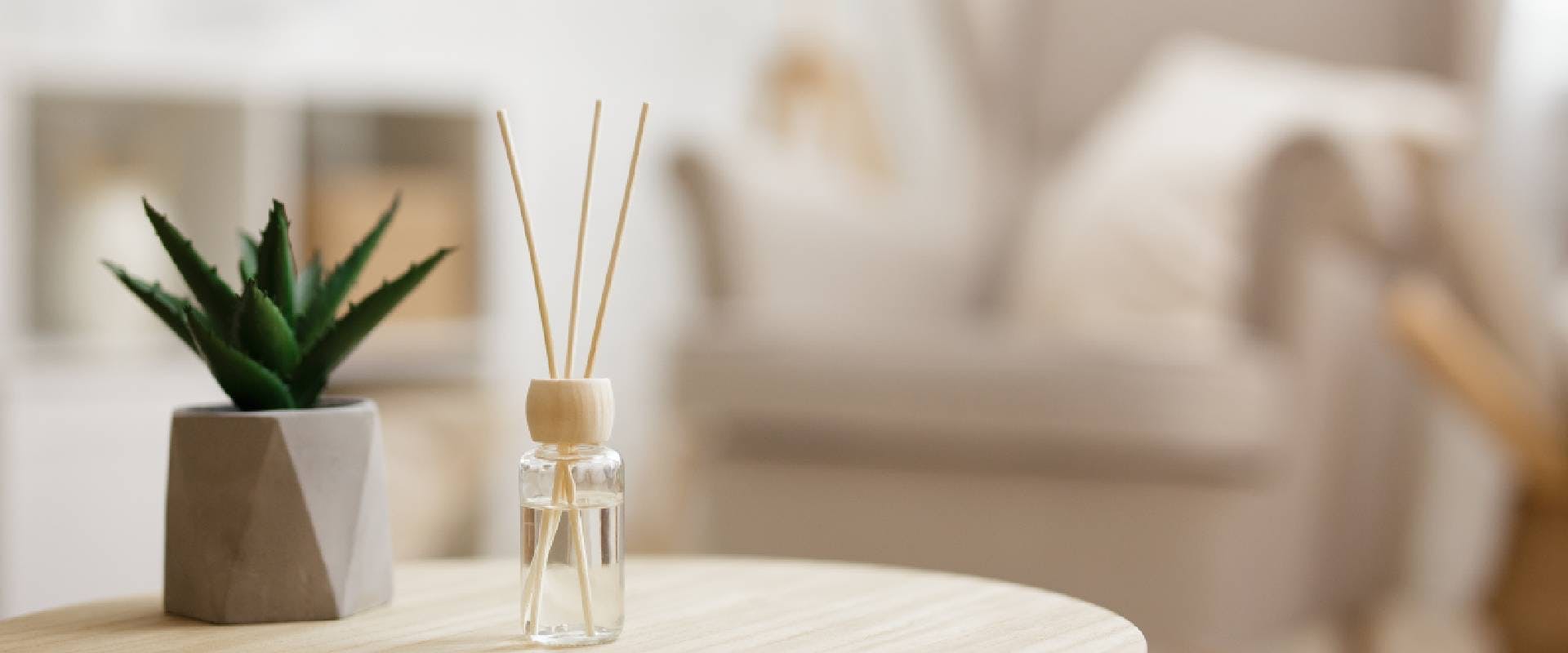 Close-up of reed diffuser and house plant aloe vera on wooden table in bright living room