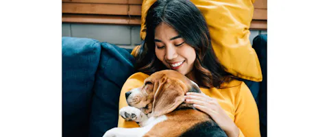 Embracing the concept of trust and love, a woman and her Beagle dog sleep together on the sofa in the living room.