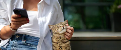 Woman on her phone in an outside space, giving her cat a chin stroke.