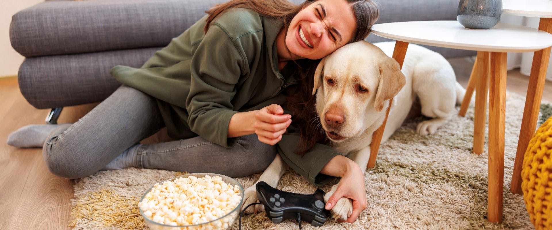 Person and Labrador dog eating popcorn at home