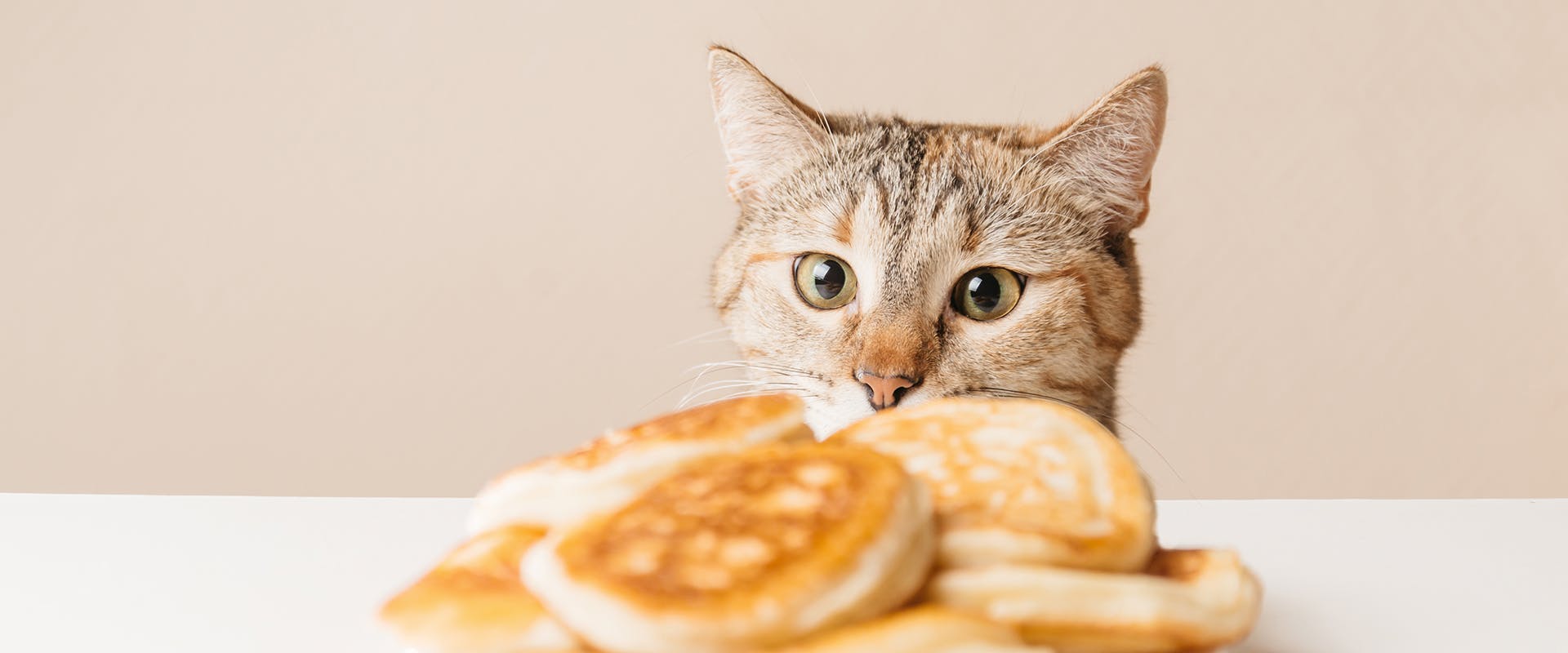 A cat looking inquisitively at a plate of baked patries