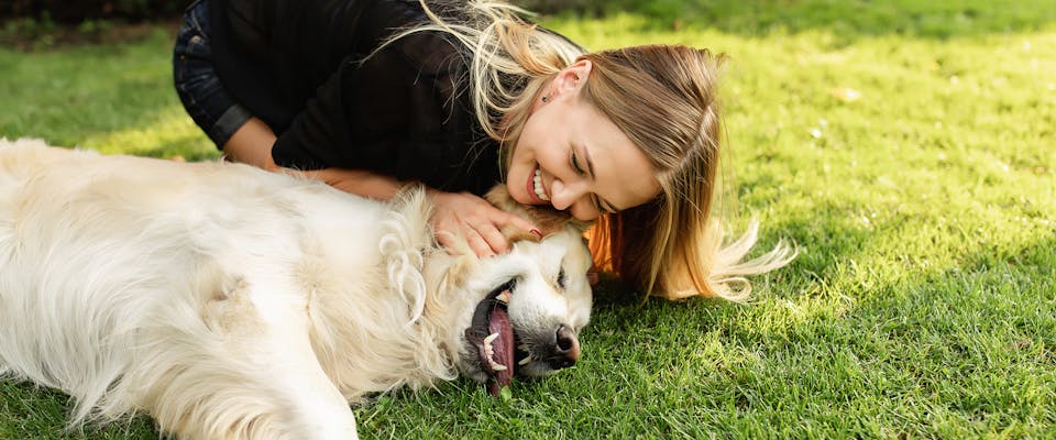 A woman laughing and stroking a dog in the middle of a dog park