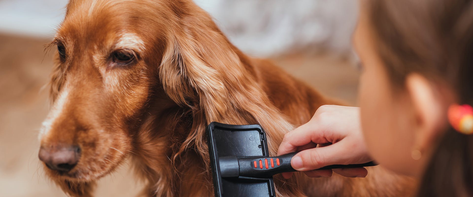 what is the best deshedding tool for dogs