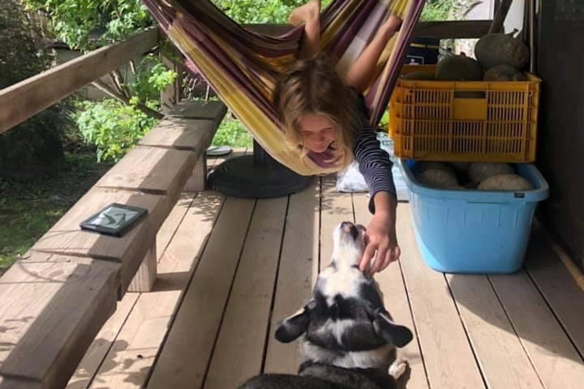 Child in hammock petting a dog