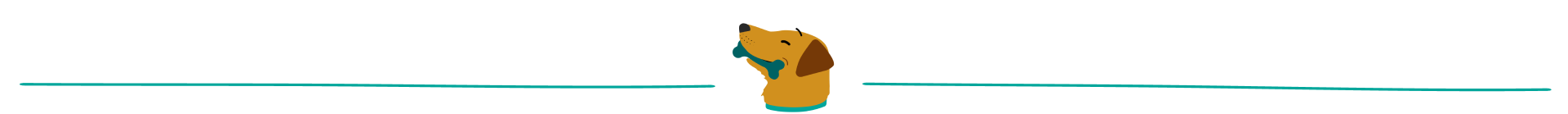 b9e1265b f036 407d ae0f 8a460f3f7196 dog divider