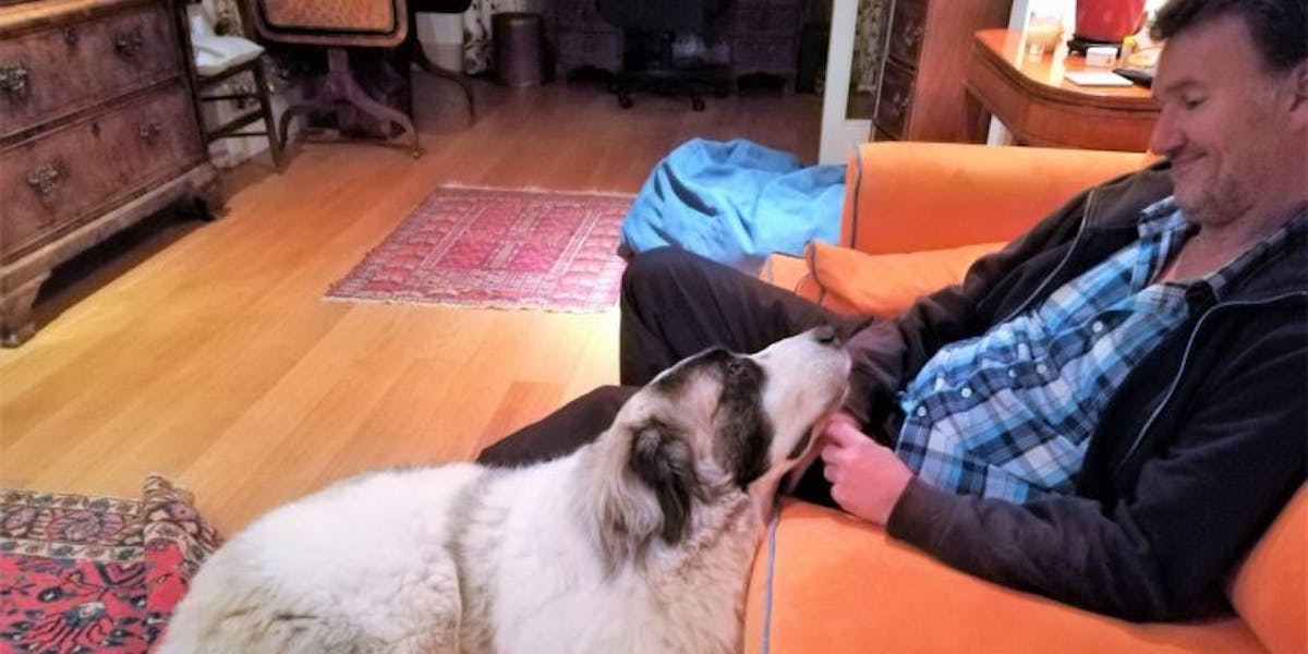 A man sitting on the sofa, stroking a dog on the floor
