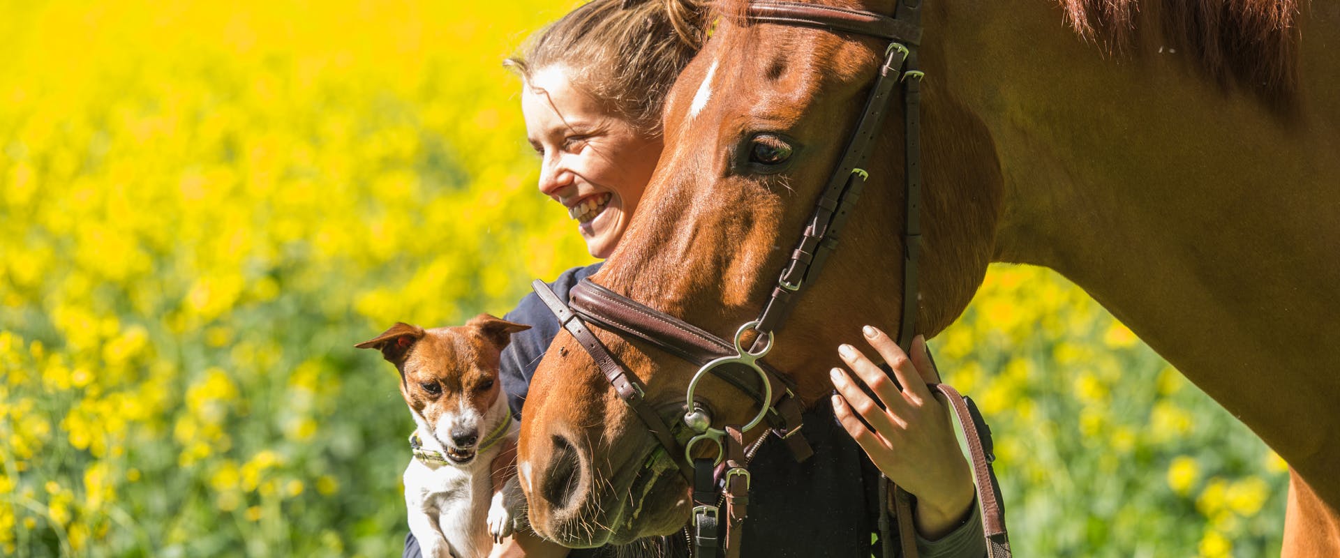 a woman holding the bridle of a ginger horse whilst holding a small dog in a field of yellow flowers