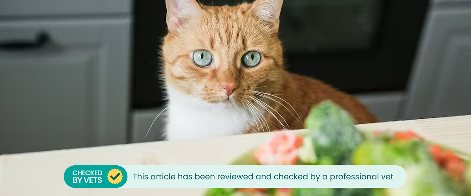 Cat looking at vegetables on the kitchen side