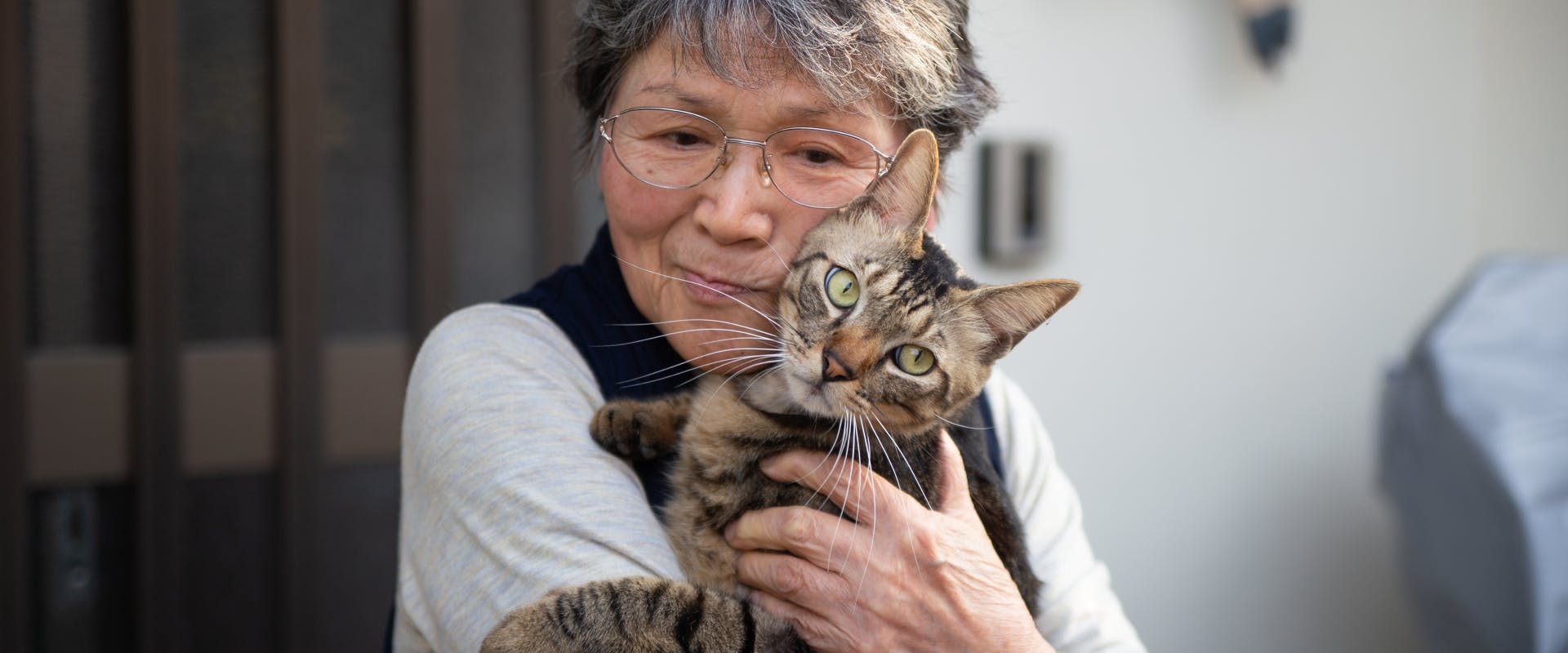 japanese woman holding a tabby cat