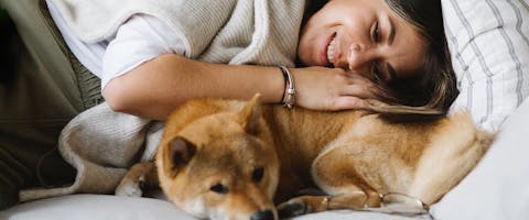 2023 Fashion Cut Crystal Pet Dog Keyring for Women Big Animal Bag