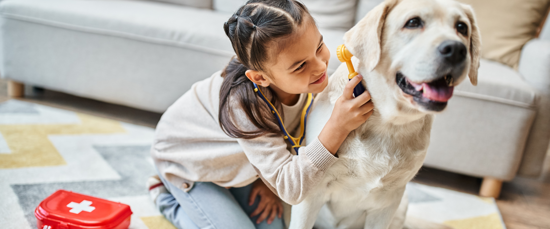 What should be on your emergency dog kit checklist ...