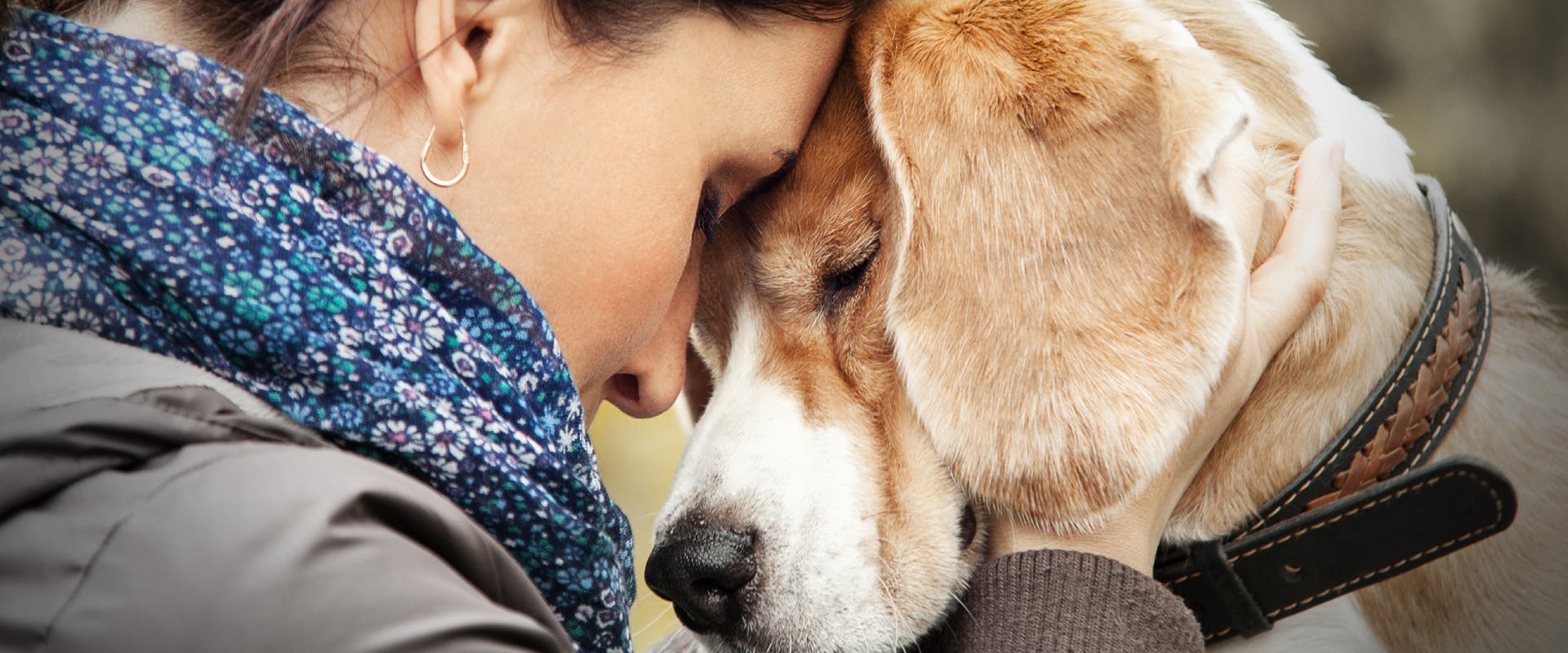 do dogs mourn when other dogs die