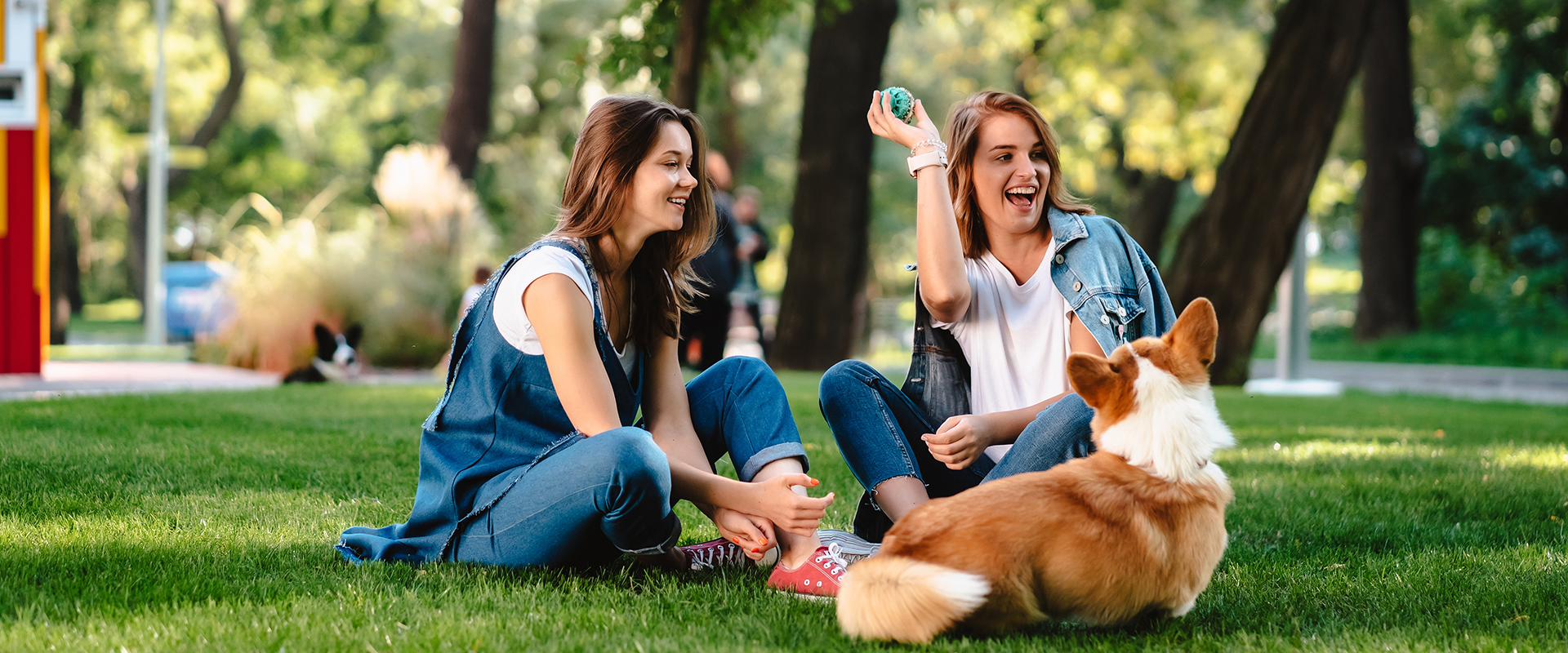 Two women and a dog playing fetch in a dog park