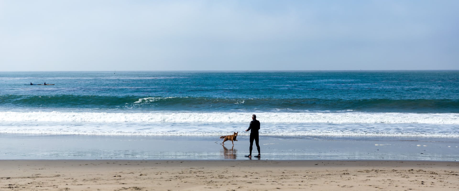 a dog a pet parent play along the shoreline of a dog-friendly Santa Cruz beach