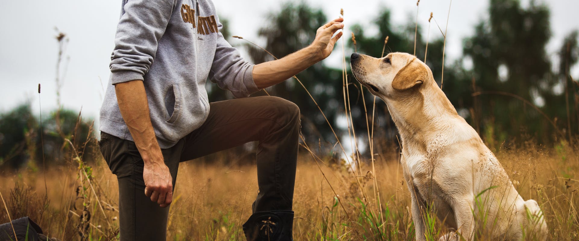 Dog sitting in a field with a dog trainer on one knee holding a treat
