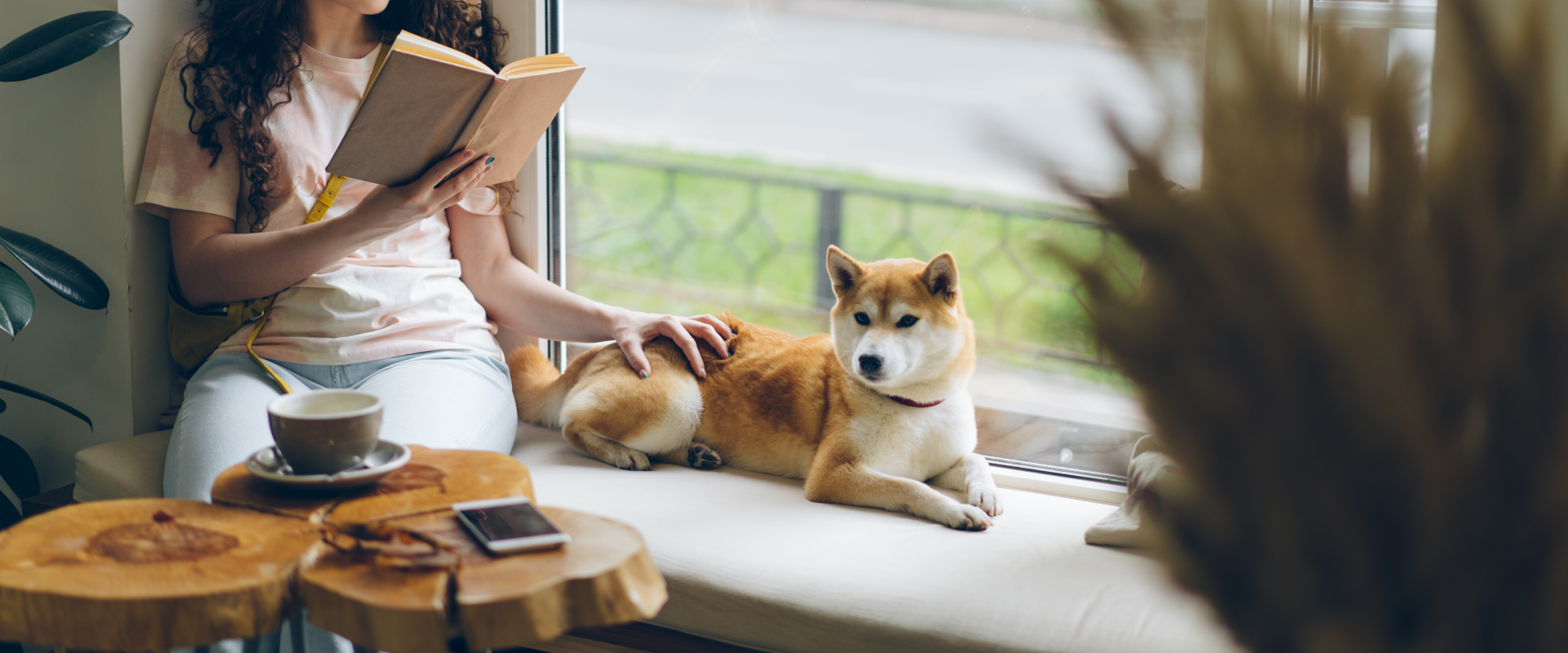Dog sitting on a window seat in a cafe next to a woman reading a book.