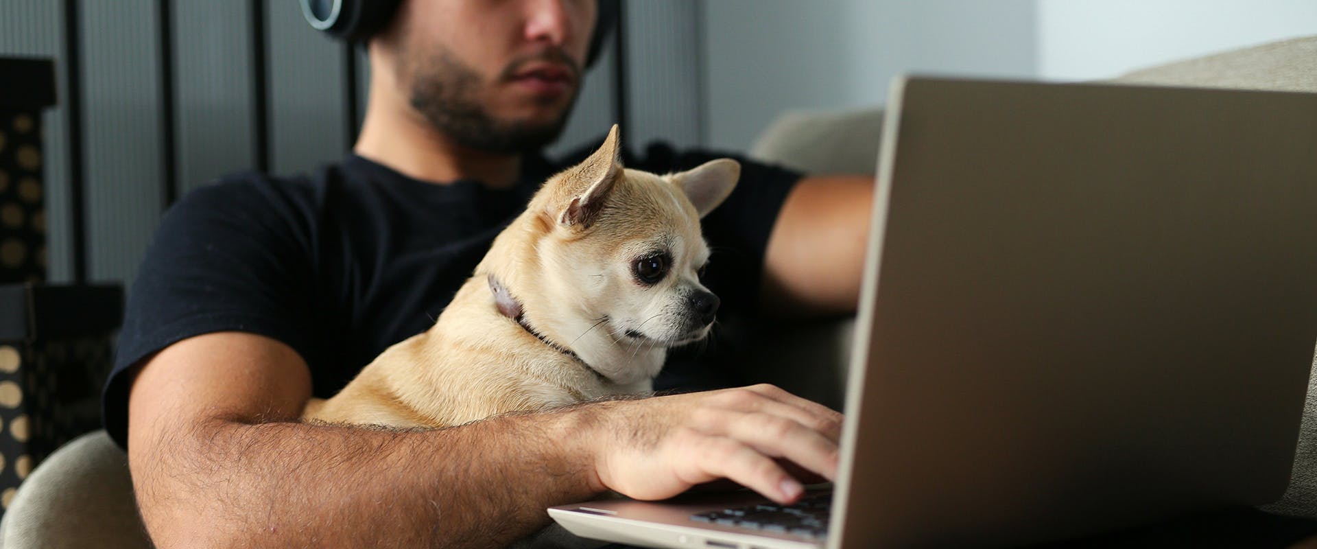 A man sitting on his laptop, a dog sat on his lap
