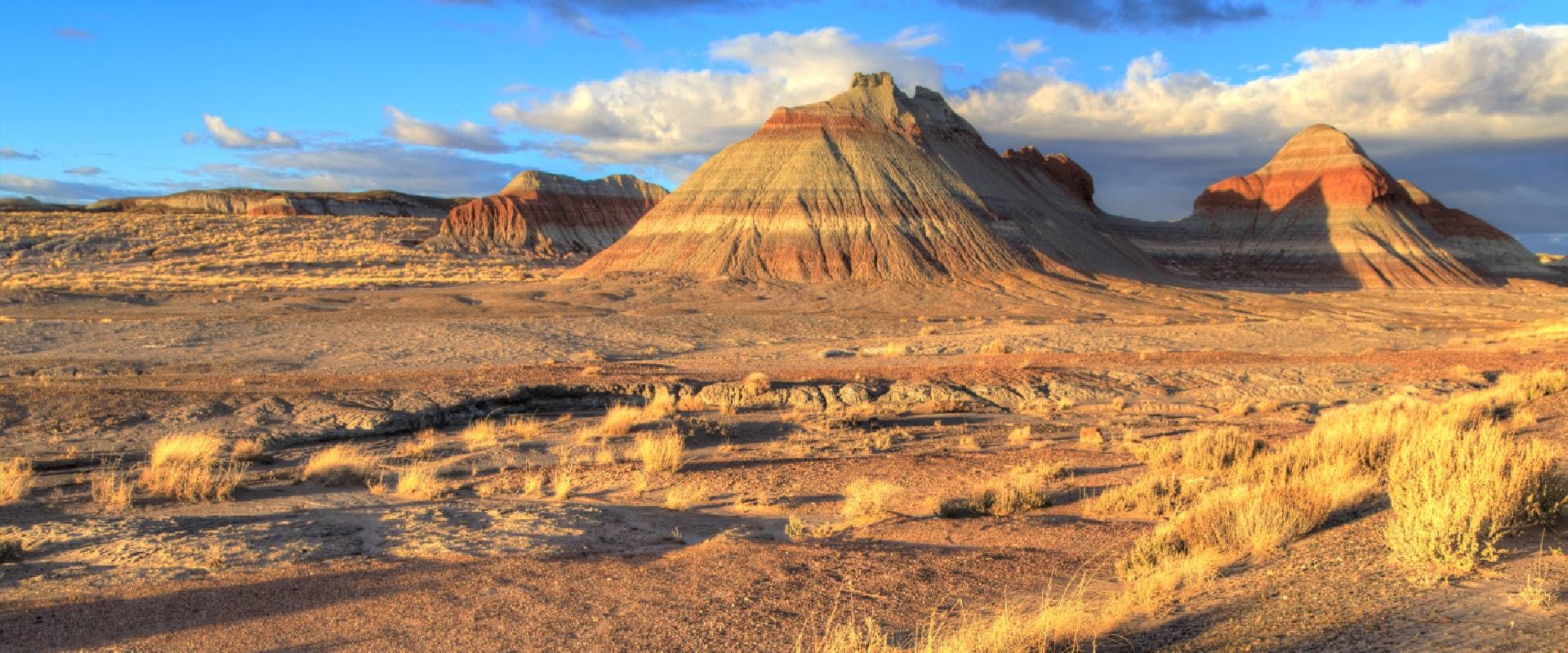 Petrified Forest National Park 