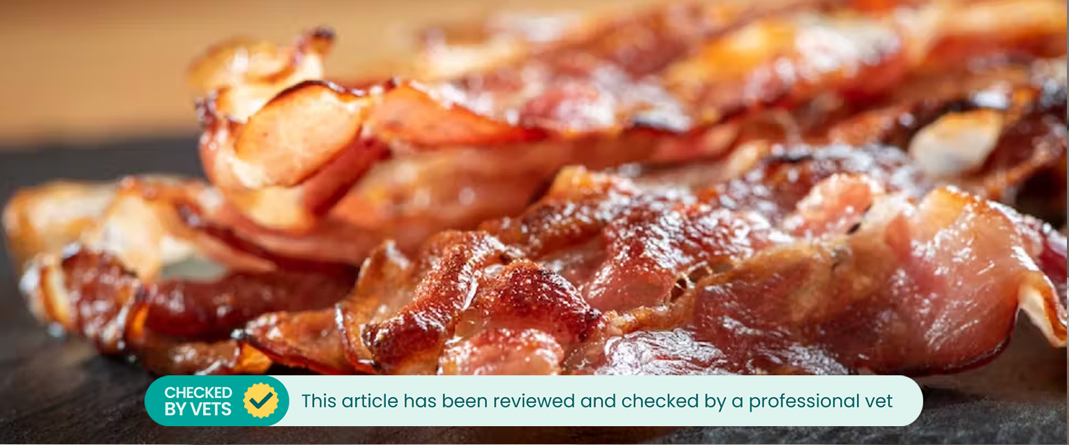 Cooked bacon close-up