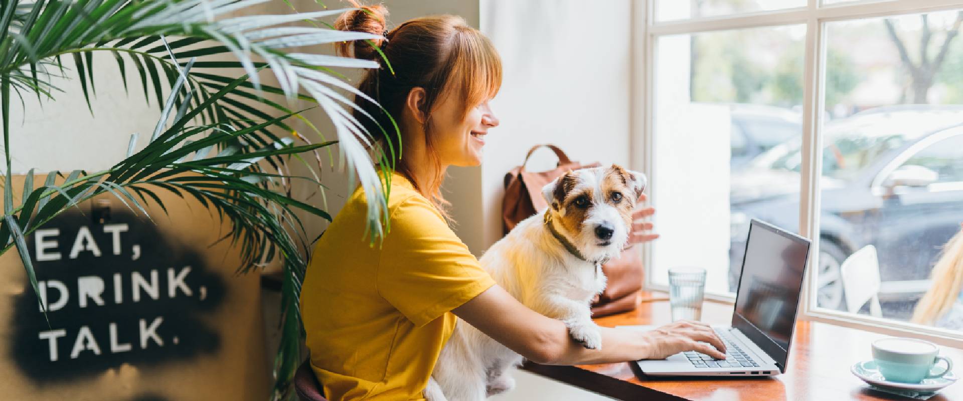 Person with a dog on her lap in a dog-friendly cafe