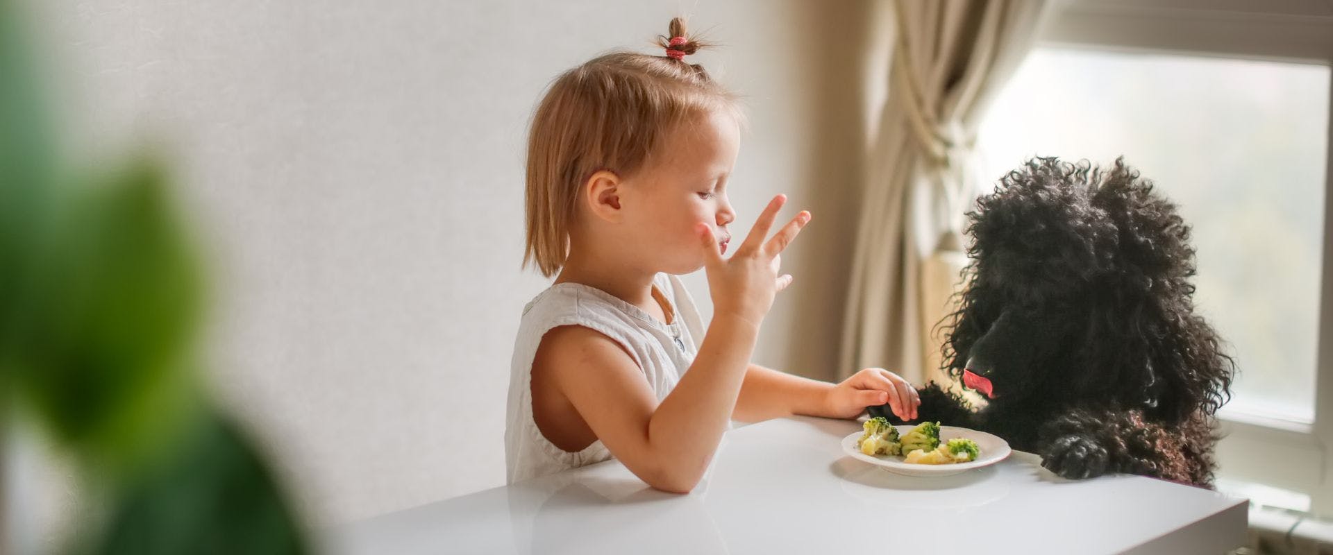 Dog eating broccoli with a young child
