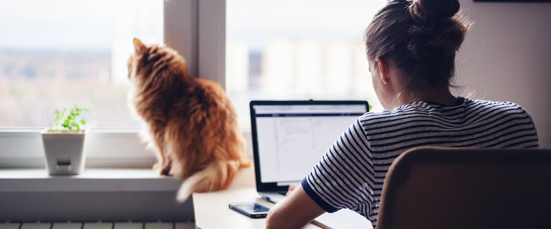 The Ultimate Guide to Working from Home with Dogs and Cats ...