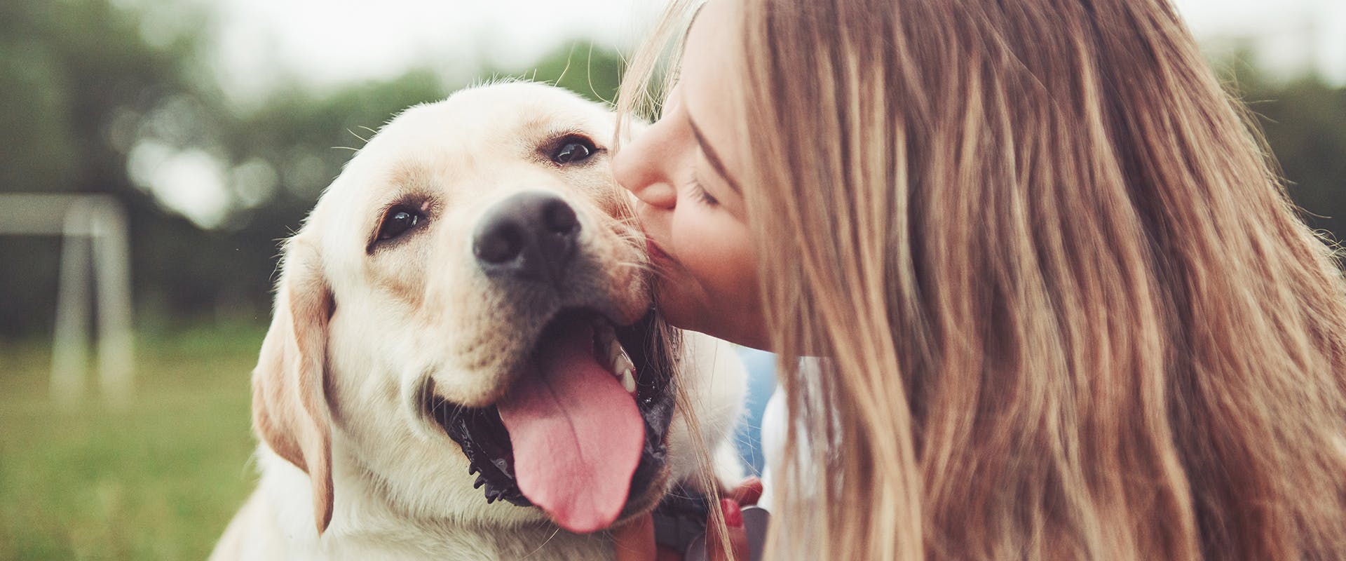 How to show your dog you love them: a woman kissing a happy looking dog